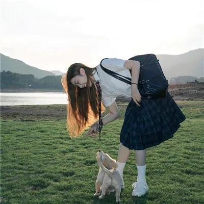 春燕展翅